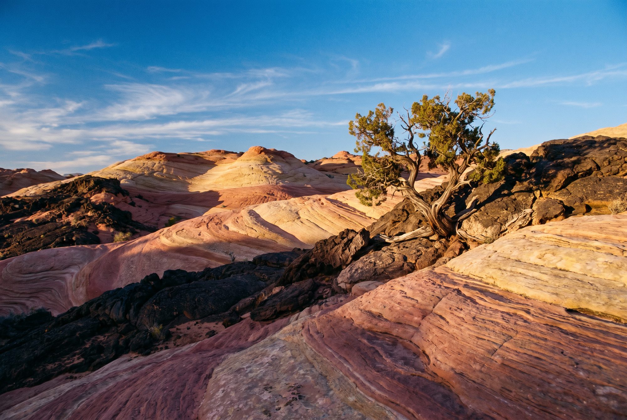 Snow Canyon near St. George, Utah